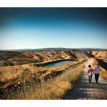 Agriturismo Le Crete - Appartamenti Asciano Exteriör bild