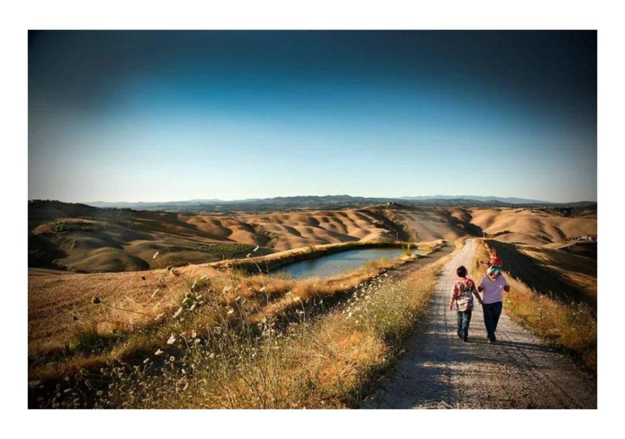 Agriturismo Le Crete - Appartamenti Asciano Exteriör bild