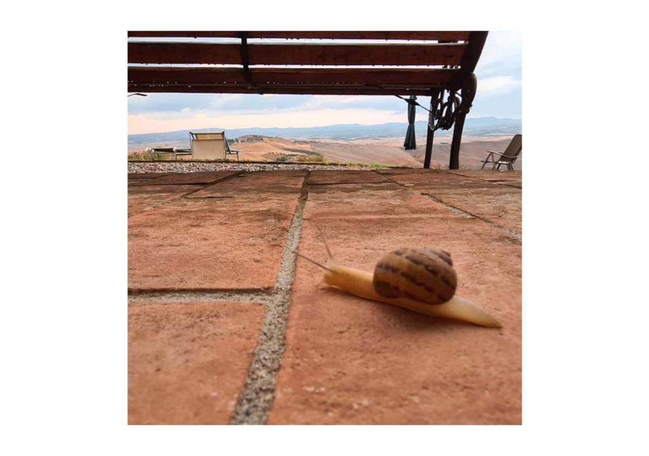 Agriturismo Le Crete - Appartamenti Asciano Exteriör bild