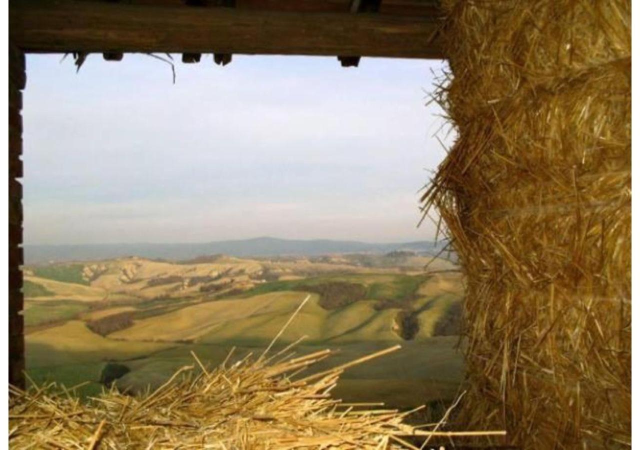 Agriturismo Le Crete - Appartamenti Asciano Exteriör bild