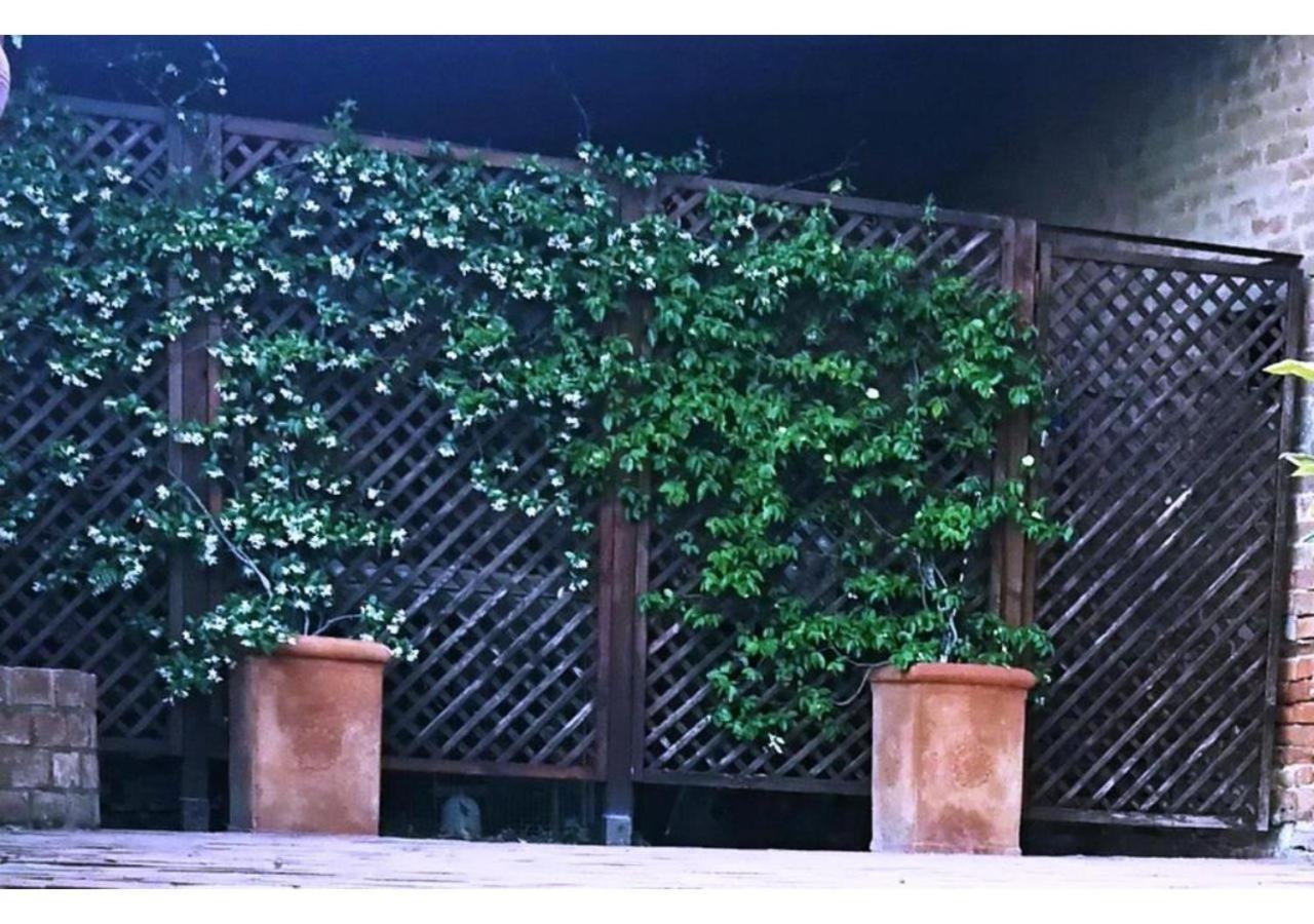 Agriturismo Le Crete - Appartamenti Asciano Exteriör bild