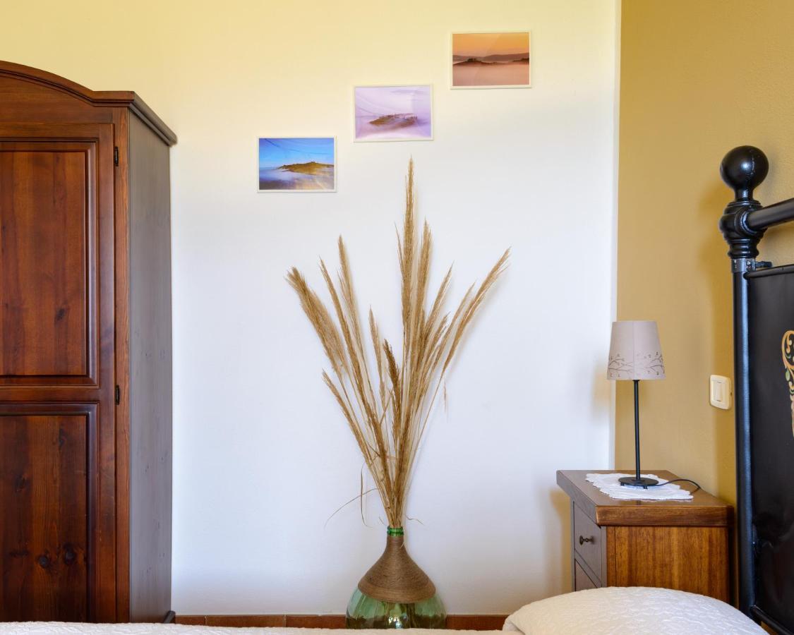 Agriturismo Le Crete - Appartamenti Asciano Exteriör bild