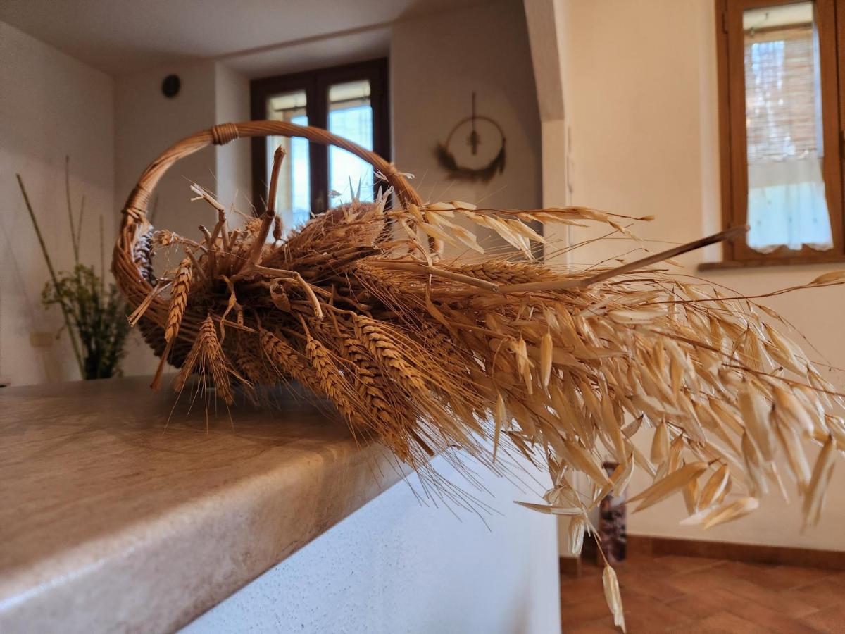 Agriturismo Le Crete - Appartamenti Asciano Exteriör bild